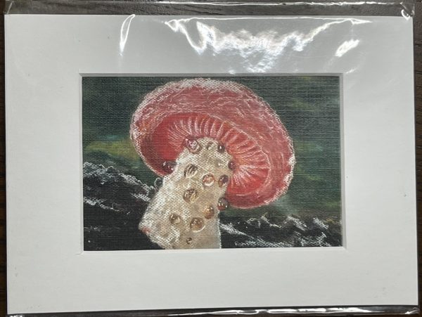 Morning Mushroom - Print